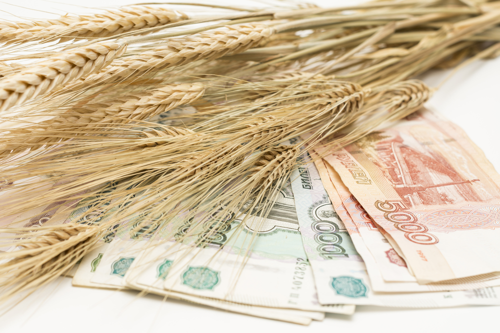 Calm Response from Major Grain Importers to Ukraine's Shipping Corridor Closure