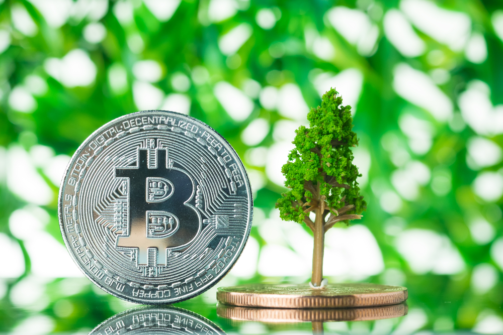 Criptomonedas en 2024  Oportunidades y Desafíos