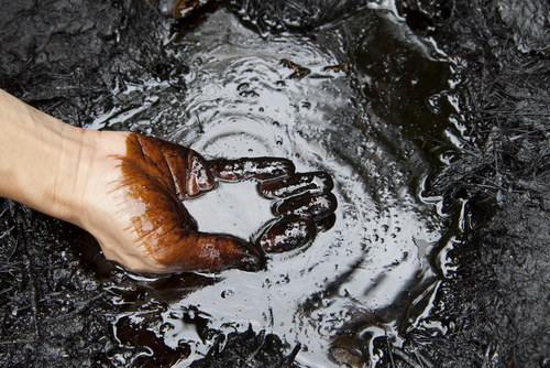 EIA Forecasts: Non-OPEC Oil Production to Drive Growth