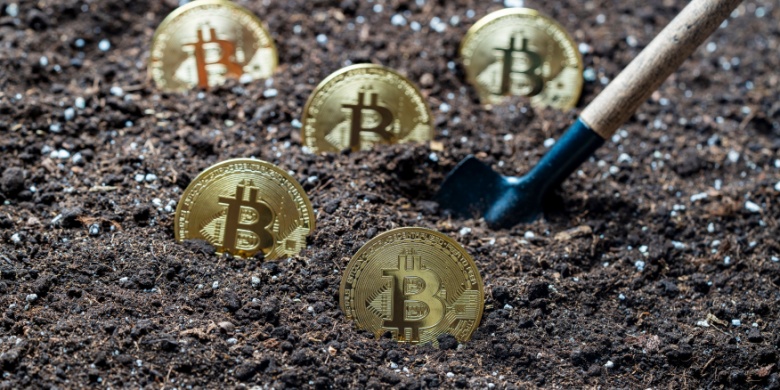 Bitcoin Surges on Trump Jr.’s Endorsement & Institutional Interest