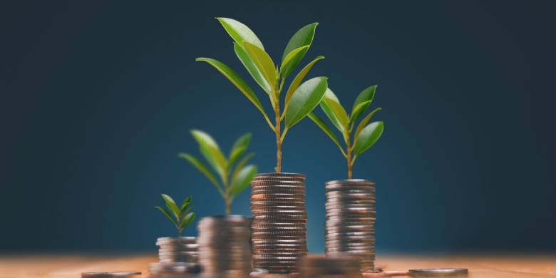 الأسهم ذات النمو المتوقع: فرص واعدة تقودك نحو المستقبل