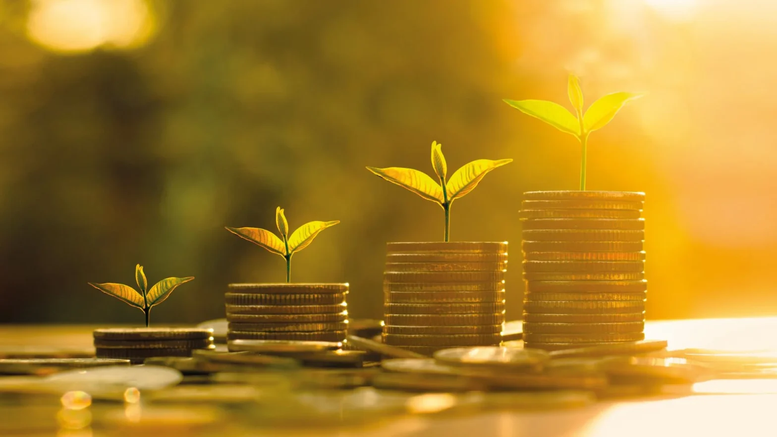 أفضل طرق الاستثمار الحلال | استثمر وفقًا للشريعة