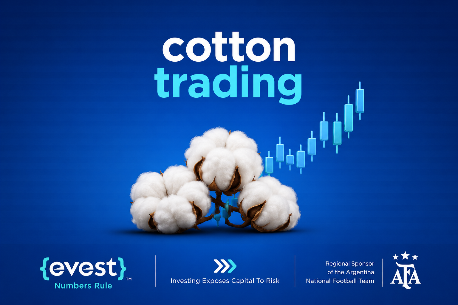 cotton trading