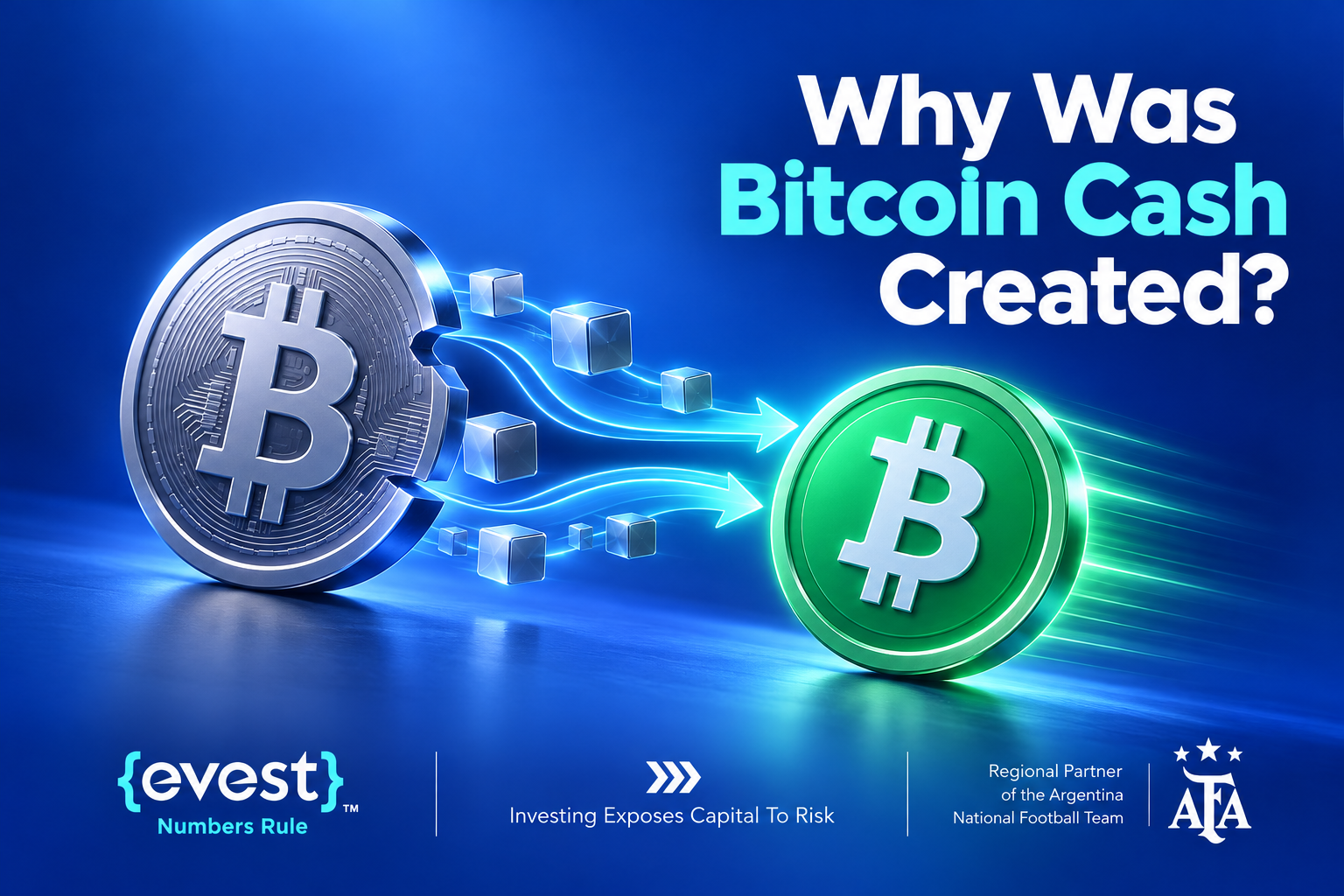 What Is Bitcoin Cash